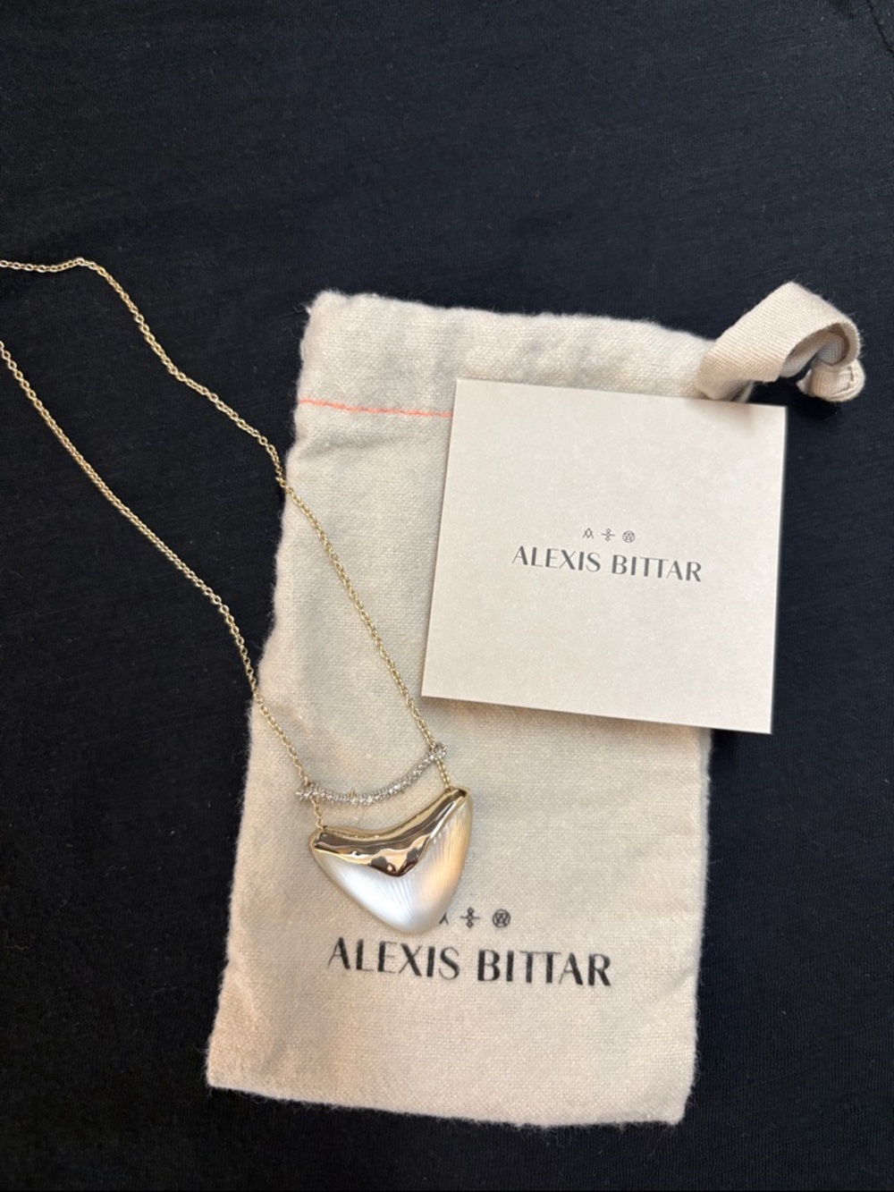 Alexis Bittar - SILVER LUCITE CRYSTAL ENCRUSTED BAR AND SHIELD GOLD NECKLACE